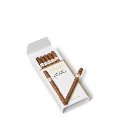 Davidoff Signature Ambassadrice Box of 10 Cigars