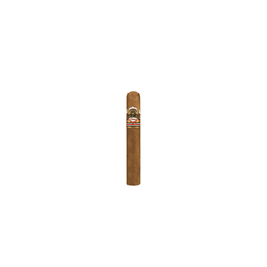 Ashton Cabinet #6 Single Cigar