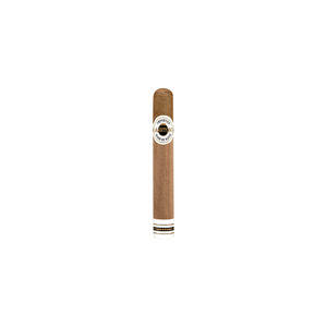 Ashton Classic Double Magnum Single