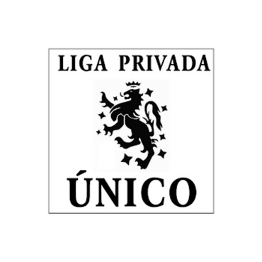 Liga Privada Serie Unico