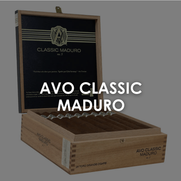 Avo Classic Maduro