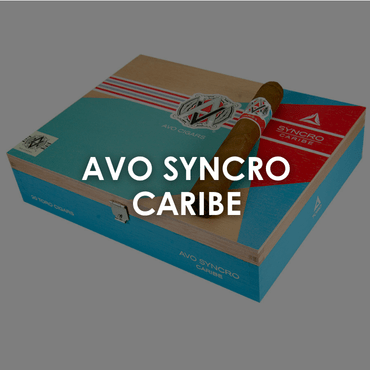 Avo Syncro Caribe