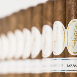 Davidoff Vault Paragon Private Collection Robusto