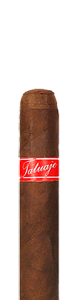 Tatuaje Havana VI Angeles