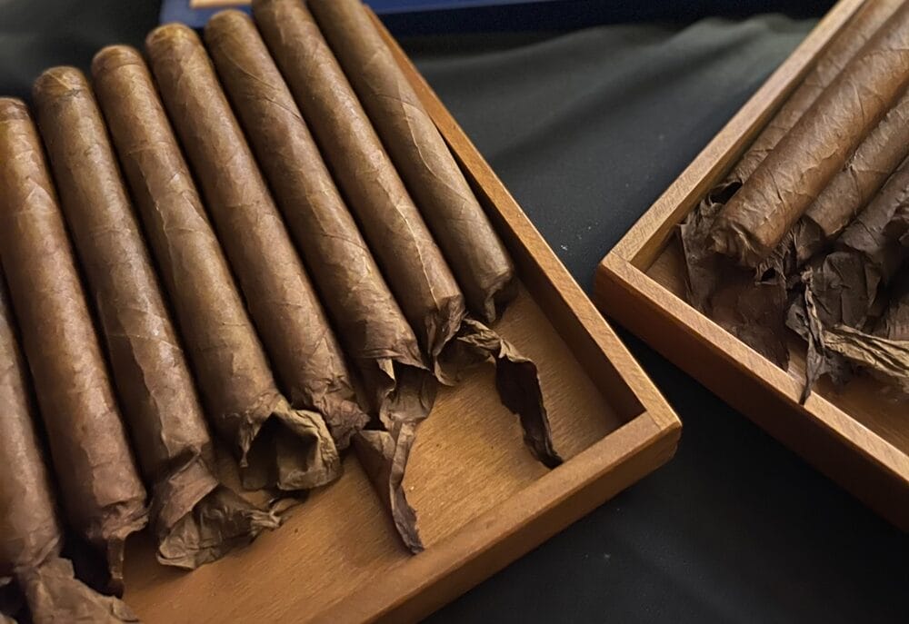 Davidoff Colorado Shaggy Toro 5 Pack Davidoff Colorado Shaggy Toro 5 Pack