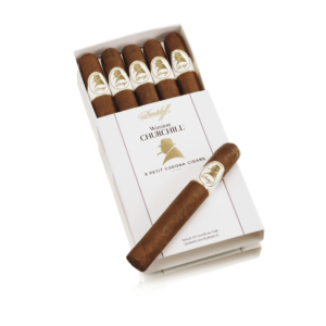 Davidoff Winston Churchill The Artist Petit Corona Pack of 5 Cigars