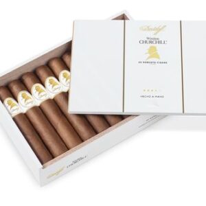 Davidoff Winston Churchill The Statesman Robusto Box of 20 Cigars